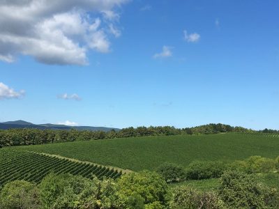 Szent János völgye